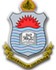 University of the Punjab logo